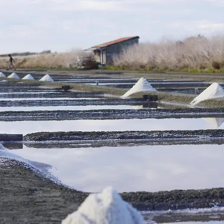 Sejour Pour 8, Jardin, Proche Marais Salants Ars-en-Ré